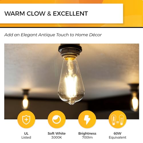Hizashi Vintage LED Edison Bulb Dimmable, 6W Equivalent 60W, 3000k Soft White, E26 Base Led Light Bulbs, 700LM, UL Listed, High CRI 95+ Eye Protection, Clear Glass, Pack of 12
