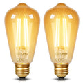 DiCUNO E26 Edison Bulbs 60W, 2200K Amber Warm, 6W LED Edison Bulb ST64, Amber Glass, Vintage LED Light for Home, 600LM, Non-Dimmable, CRI 80, Pack of 2