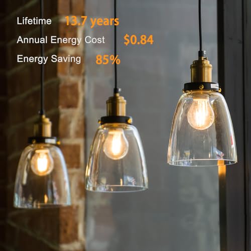 TJOY 12 Pack A19 Vintage LED Edison Bulbs, Dimmable, 60W Equivalent, High Brightness 2700K Warm White, 8W E26 Standard Base, 800 Lumens, CRI80+, Clear Glass Filament Bulb for Home, Farmhouse